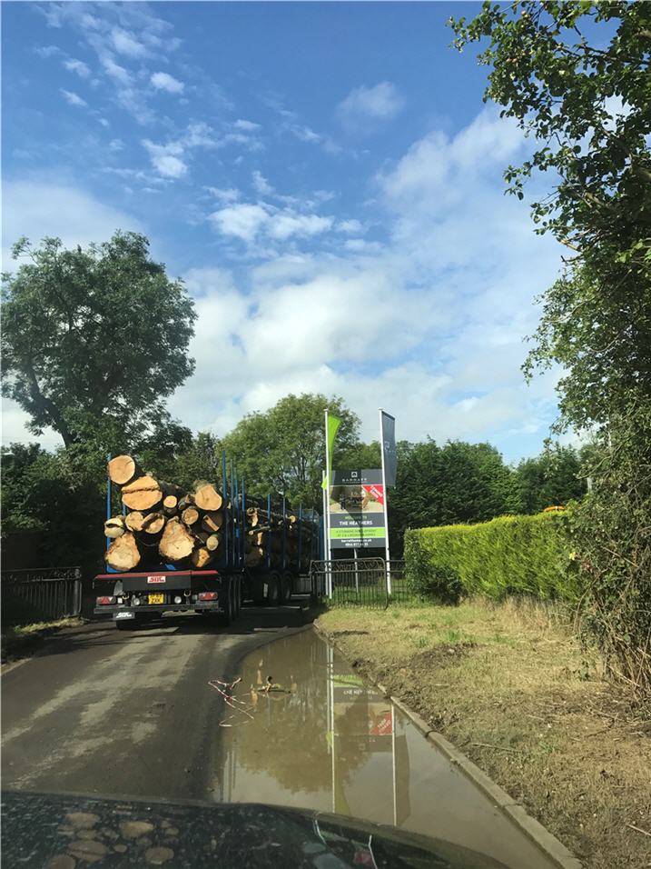 trailer-load-timber-off-for-processing-o.jpg