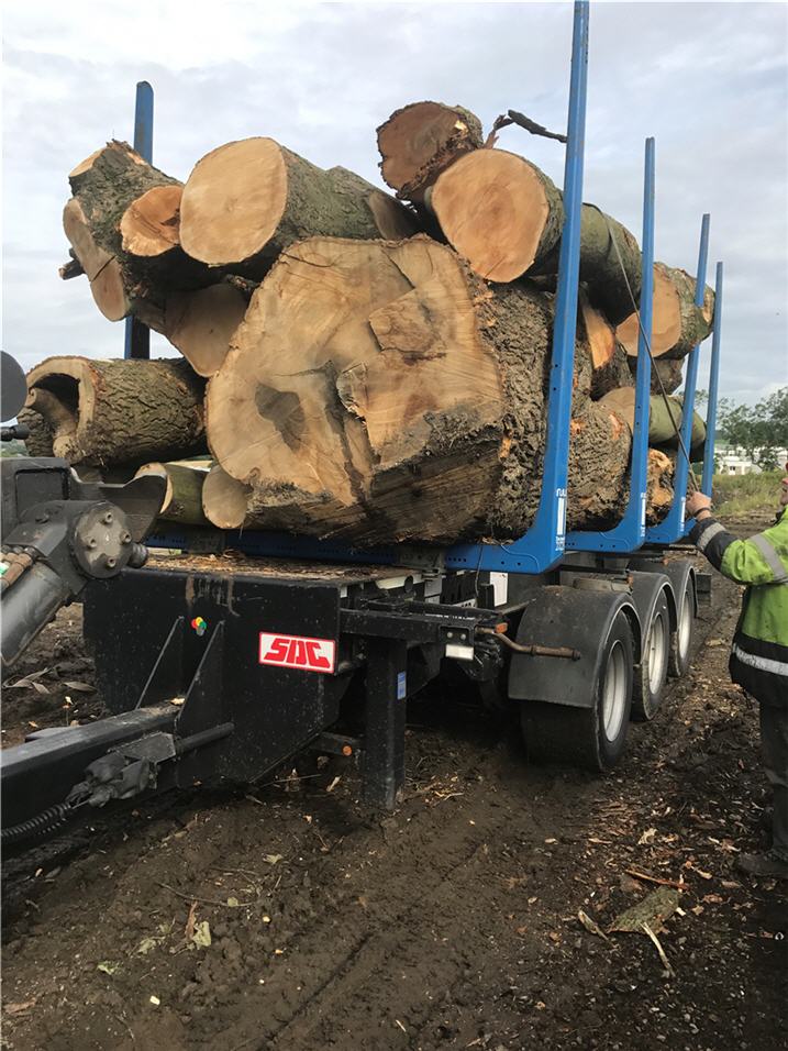 trailer-load-timber-strapped-down-o.jpg