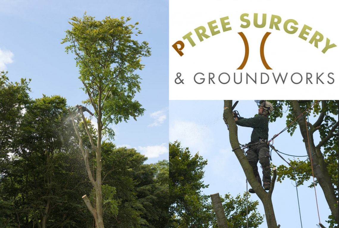 Ptree Surgery and GroundWorks